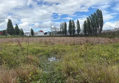 Cambio de uso de suelo arriesga los humedales