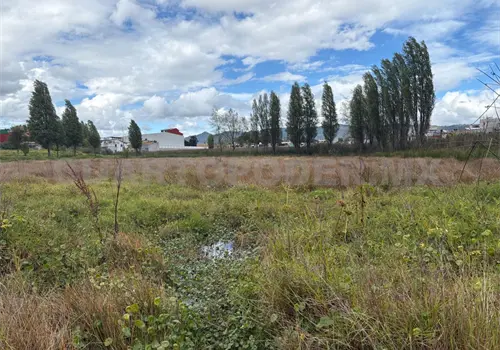 Cambio de uso de suelo arriesga los humedales Cambio de uso de suelo arriesga los humedales