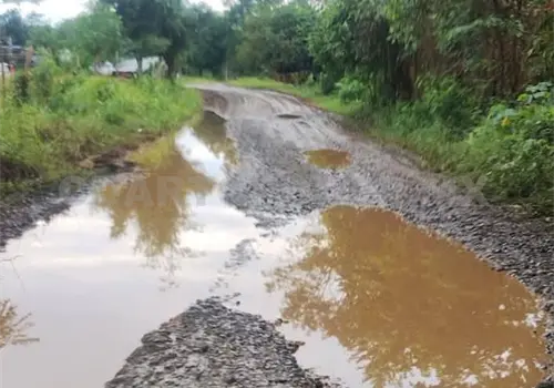 Piden apoyo por afectaciones de unidades pesadas