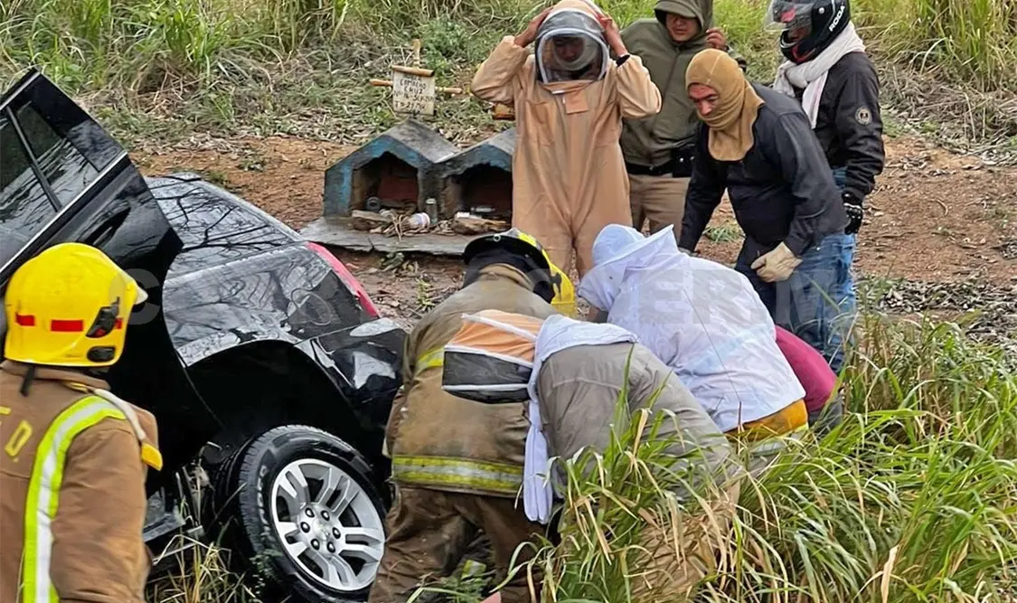 Luego del impacto, los ocupantes fueron atacados por un enjambre de abejas, lo que complicó las labores de auxilio. Osman Toledo / CP