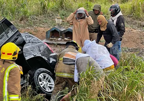 Enjambre los ataca tras sufrir accidente Enjambre los ataca tras sufrir accidente