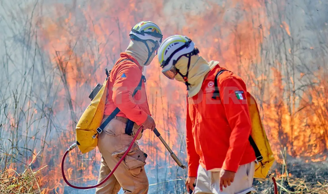 La autoridad confirmó que llevaban un 60 % de control del siniestro. Cortesía