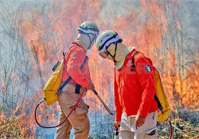Un solo incendio quemó más de mil hectáreas Un solo incendio quemó más de mil hectáreas