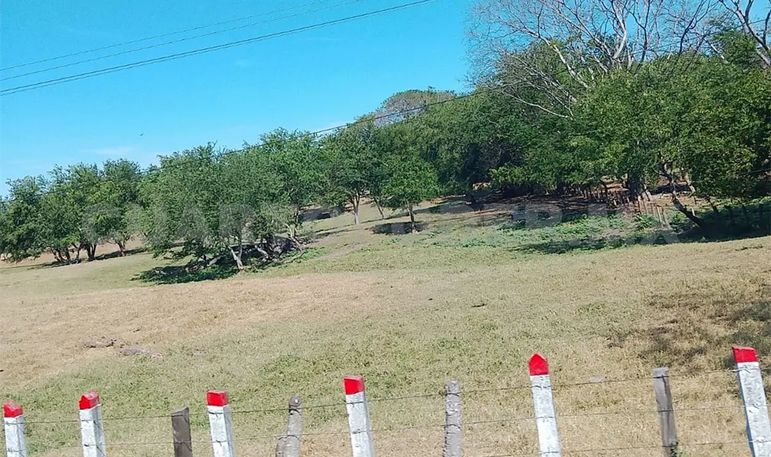 Señalan que han hallado a coyotes y lobos muertos debido a los siniestros. Noel Vázquez / CP