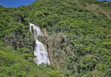 Impulsan actualizaci&oacute;n de la Ley Forestal