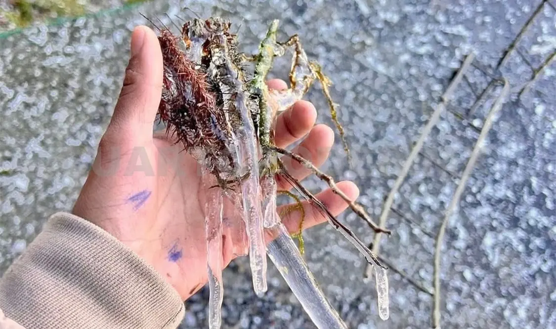 Durante los últimos meses, el municipio que ha registrado menor temperatura es Chamula. Jofiel Domínguez / CP