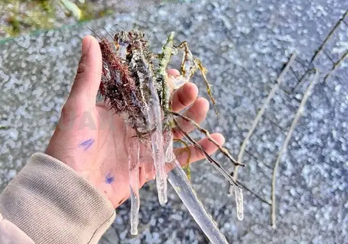 Amanece San Crist&oacute;bal a menos 1 grado