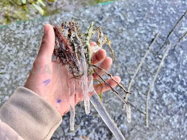 Amanece San Cristóbal a menos 1 grado Amanece San Cristóbal a menos 1 grado