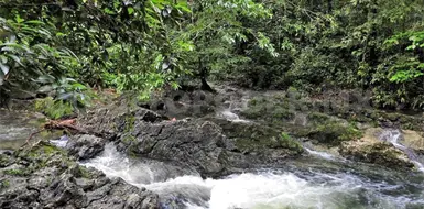 Son microcuencas, de vital importancia