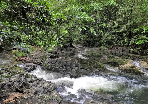 Son microcuencas, de vital importancia