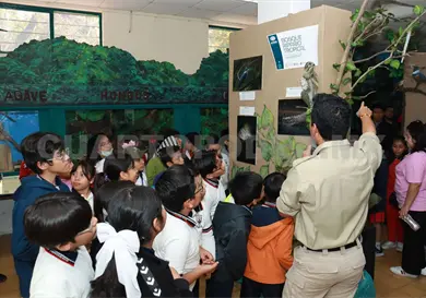 Visibilizan importancia de humedales de Chiapas