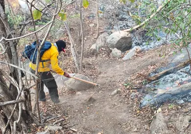 Incendio consume m&aacute;s de mil 400 hect&aacute;reas