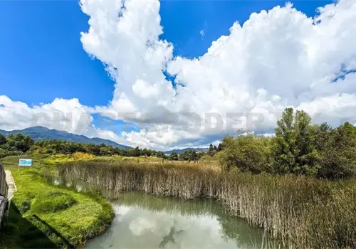 Donan 500 hect&aacute;reas para preservaci&oacute;n