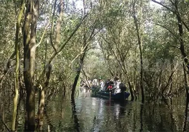 Falta de recursos dificulta la preservaci&oacute;n ambiental