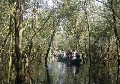 Falta de recursos dificulta la preservaci&oacute;n ambiental