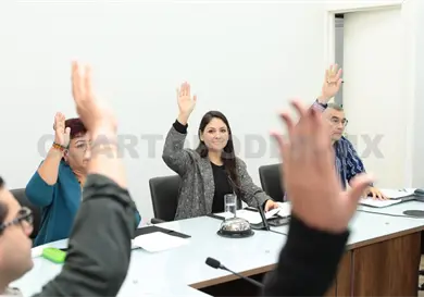 Proponen reformas en tema de armas y movilidad