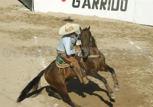 Rancho San Rafael es el nuevo campe&oacute;n