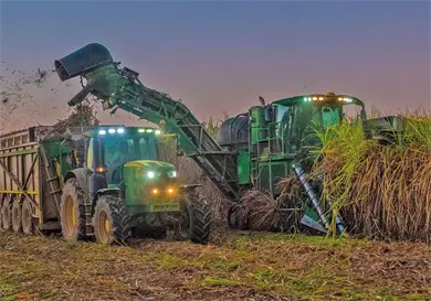 Alistan apoyos econ&oacute;micos a productores de ca&ntilde;a