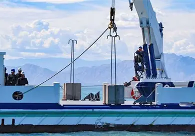 Pol&iacute;gono de la vaquita marina evita su extinci&oacute;n