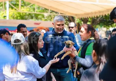 Realizan feria de adopci&oacute;n de perros y gatos en la ciudad