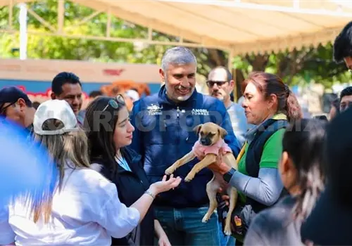 Realizan feria de adopci&oacute;n de perros y gatos en la ciudad
