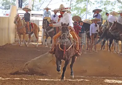 Arranca Trascendencia Charra 2026