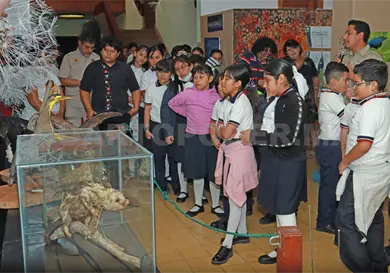 Buscan educaci&oacute;n ambiental en infancias