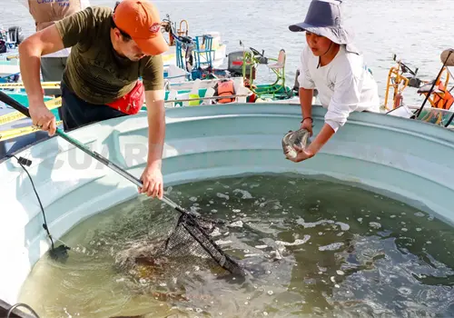Impulsan producci&oacute;n pesquera en Chiapas