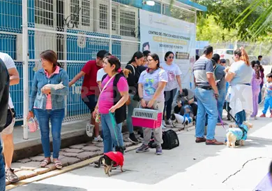 Todo un &eacute;xito la Feria de Adopciones en el Tuchtl&aacute;n