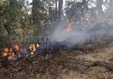 Atienden decenas de combatientes incendio activo