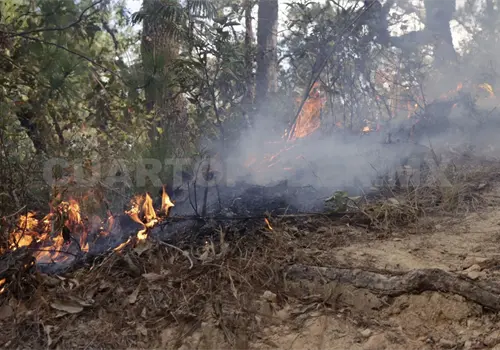 Atienden decenas de combatientes incendio activo