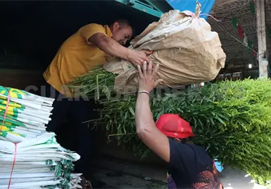 Da&ntilde;an heladas producci&oacute;n de rosas