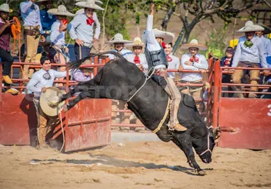 Rancho El Refugio AFA es el campe&oacute;n