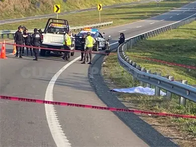 Muere atropellado por auto en Curva del Diablo