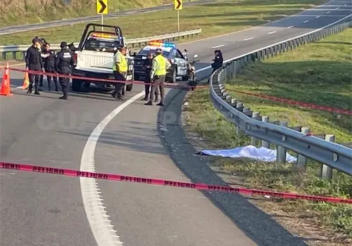 Muere atropellado por auto en Curva del Diablo