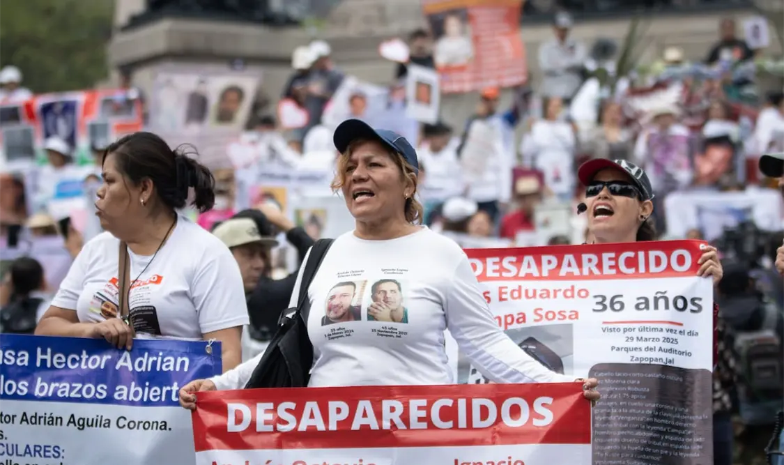 Sugieren que la desaparición no opera como un fenómeno separado. Cortesía