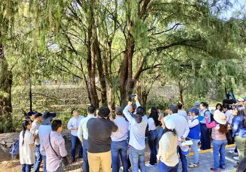 Buscan rescatar &aacute;rboles de sabino