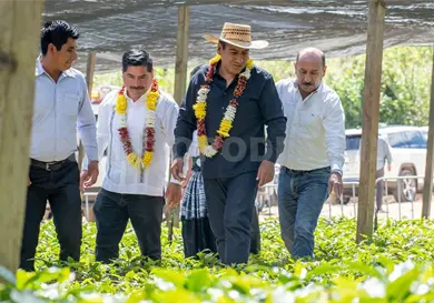 Relanzan la cafeticultura desde las comunidades
