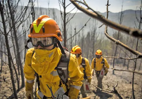Prev&eacute;n temporada de incendios forestales agresiva