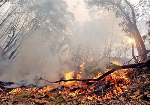 Queman tres incendios activos varias hect&aacute;reas