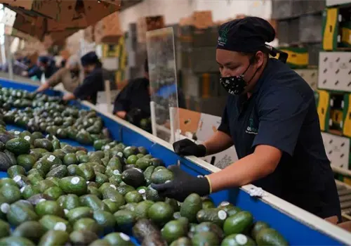 Canadá busca expandirse en el mercado mexicano Canadá busca expandirse en el mercado mexicano