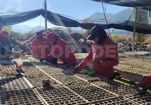 Alistan jornada de reforestaci&oacute;n en Valle de Jovel