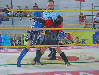 Golpes de poder en el Campeonato del Sureste