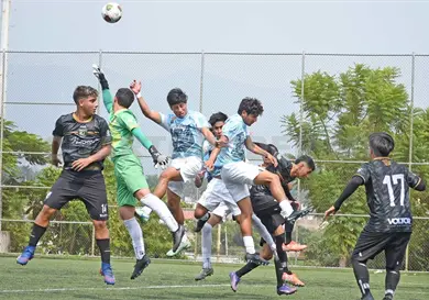 Lechuzas vuela en Tabasco y suma 16 victorias Lechuzas vuela en Tabasco y suma 16 victorias