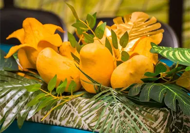 Realizar&aacute;n cuarto Festival Internacional del Mango Ata&uacute;lfo