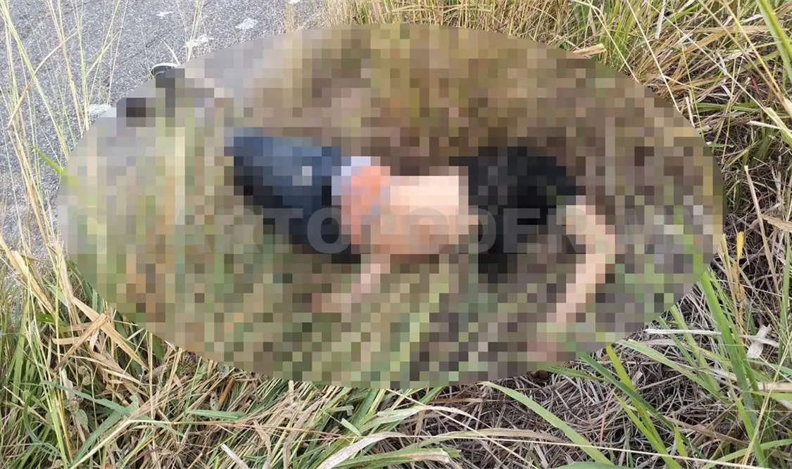 El joven fue hallado entre los matorrales aproximadamente a 50 metros de la entrada al cantón Los Llanos. Víctor Sánchez / CP