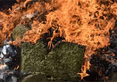 Destruyen 19 toneladas de precursores químicos Destruyen 19 toneladas de precursores químicos
