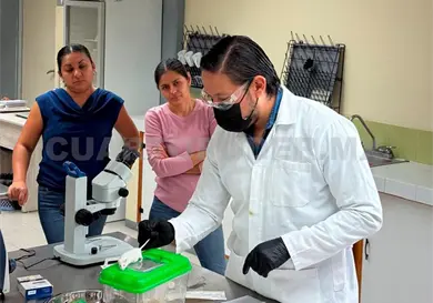 Hacen más resistentes a las plantas con ciencia Hacen más resistentes a las plantas con ciencia