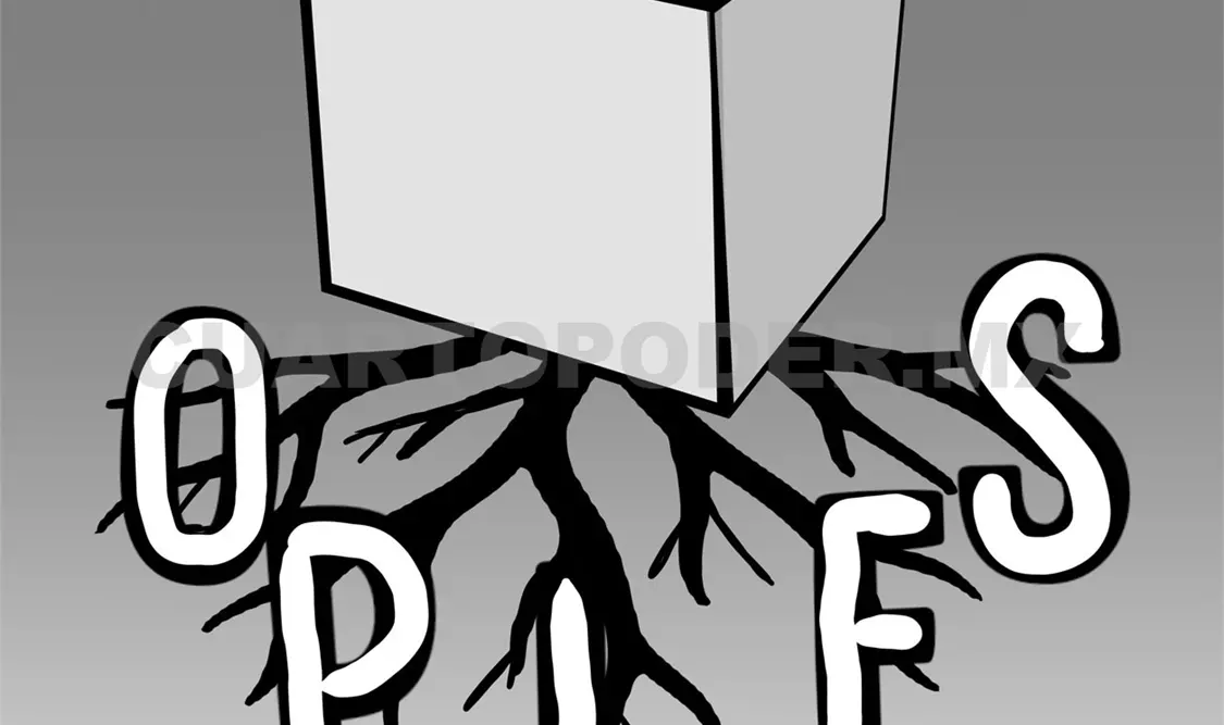 Fortalecer los sistemas electorales del país