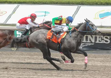 Mantienen suspensi&oacute;n de carreras de caballos